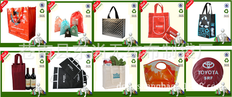 Eco Shopping bag (2)