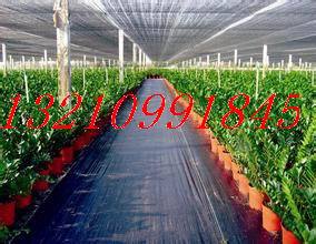 u=2234761441,4006138680&fm=15&