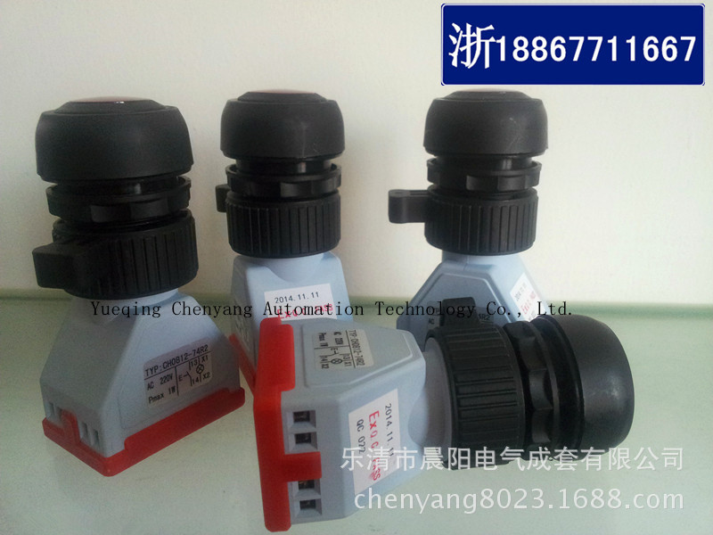 防爆带灯按钮 防爆防腐急停自锁按钮