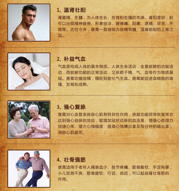 鹿茸