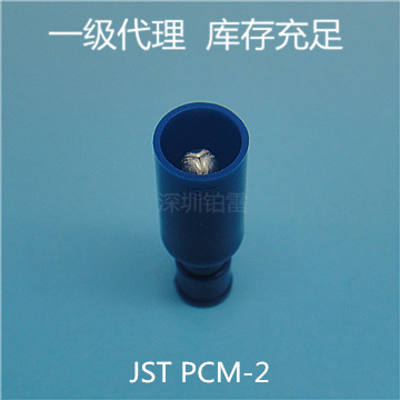 JST PCM-2_副本