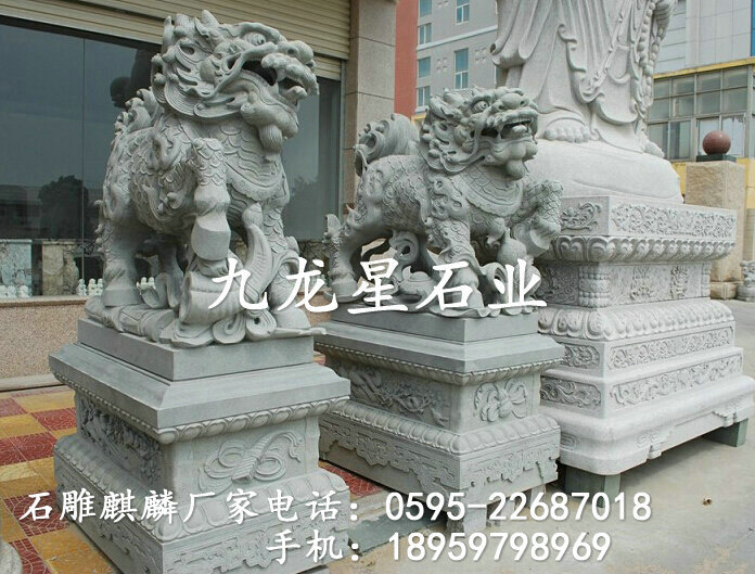 _6GFYY99G4RW8EKZ9$XZPY9