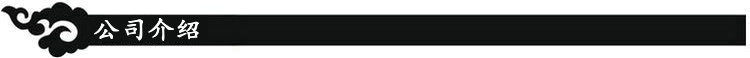 公司介绍