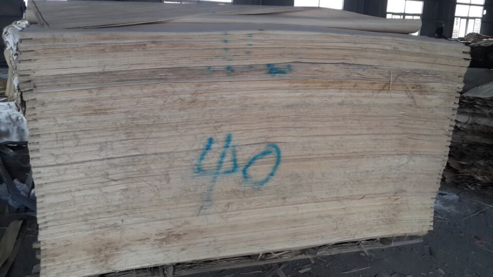 QQ图片20150414153840