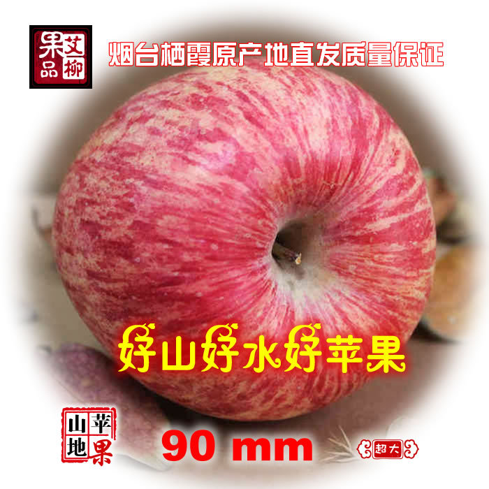 艾柳果品 烟台红富士苹果 栖霞山地苹果 高品质90#十斤礼品装