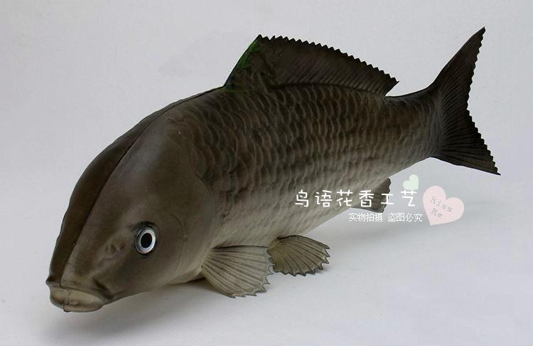 批发各种pu仿真鱼鲤鱼花点鱼金枪鱼金龙鱼高仿真鱼类启蒙教育道具