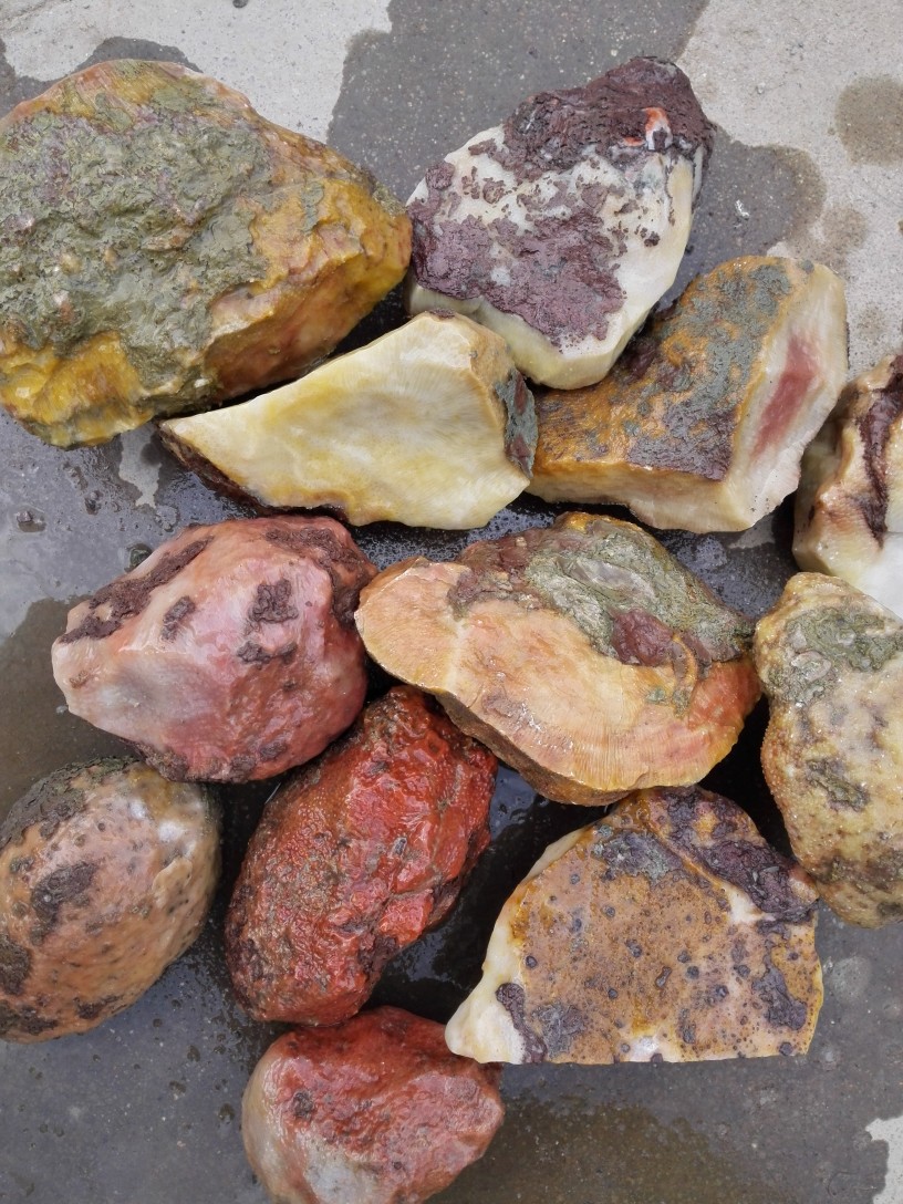 精品宁强珊瑚玉原料按公斤出售 天然正品珊瑚化石玉原石