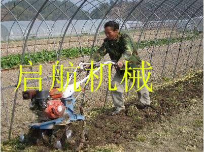 QQ图片20150323155118