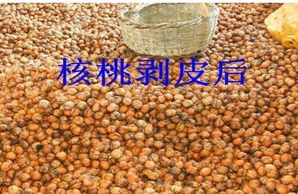 四川核桃去皮设备,四川核桃清洗设备,四川家用型去皮机