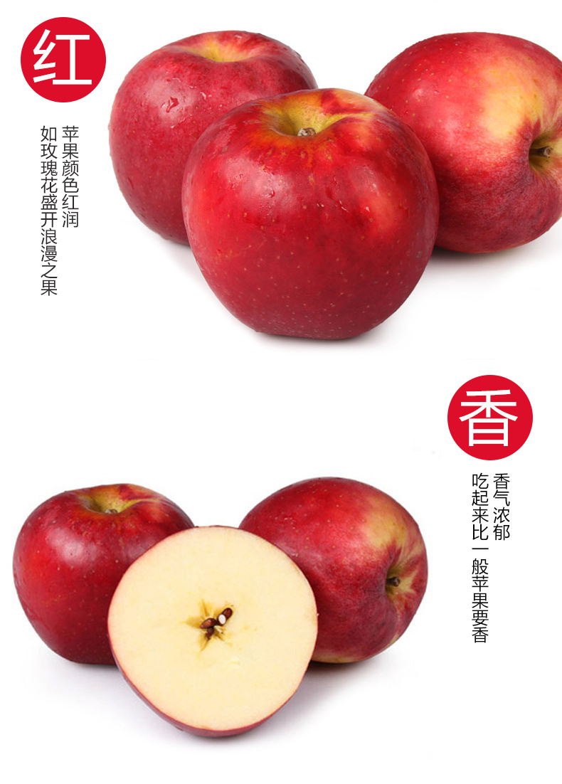 【海到帮】美国红玫瑰苹果 新鲜进口水果 20个 水果批发直销