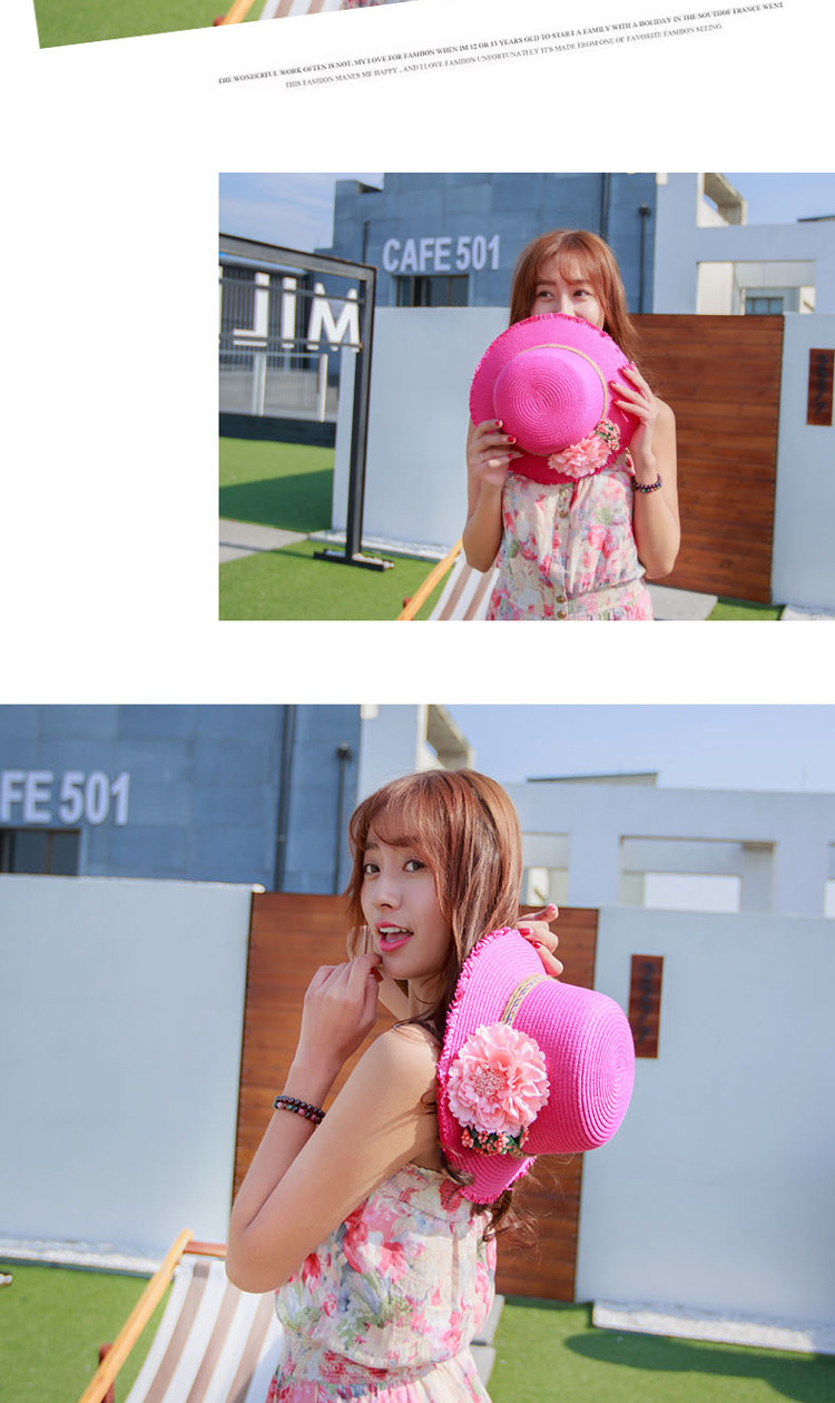 DG1689毛边大花朵草帽 (20)