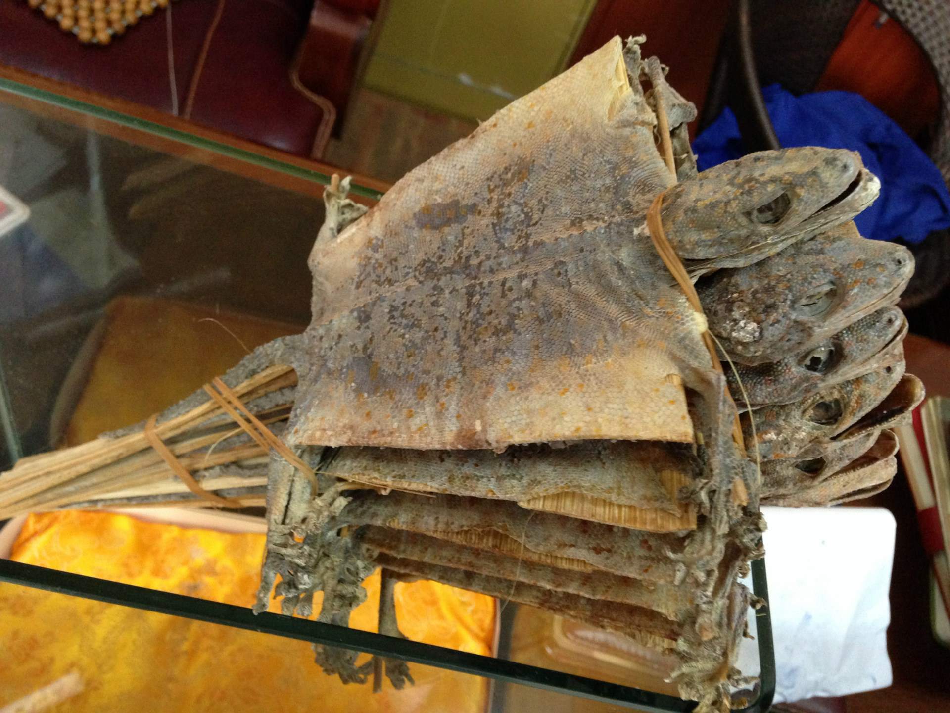 蛤蚧 蛤蚧干 中药材蛤蚧 蛤蚧酒原料 产地直销 补肾壮阳