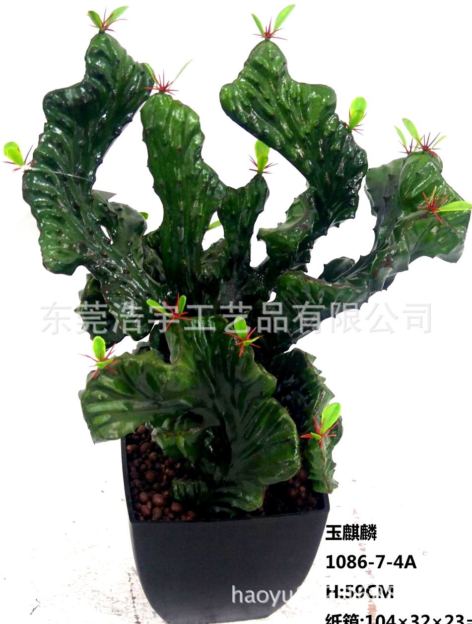 20工艺品新款 植物摆件 玉麒麟花卉盆栽 玉麒麟掌 工厂直销