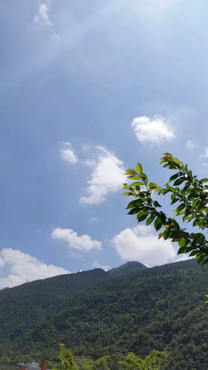 自驾小福散散心,还好有你在身边