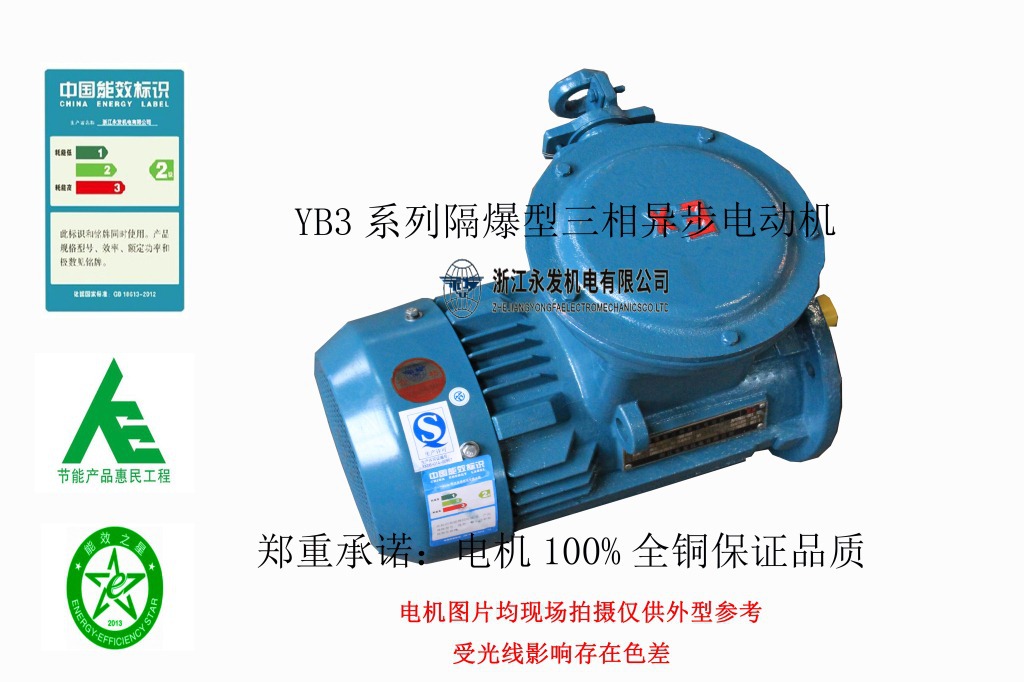 YB3防爆电机立式