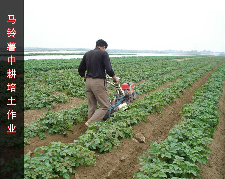 电启动开沟培土机 家用开沟培土机厂家