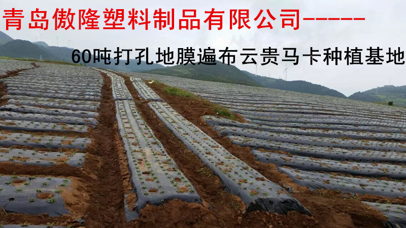 有孔地膜_孔令仪有孩子吗_农用地膜农用地膜价格