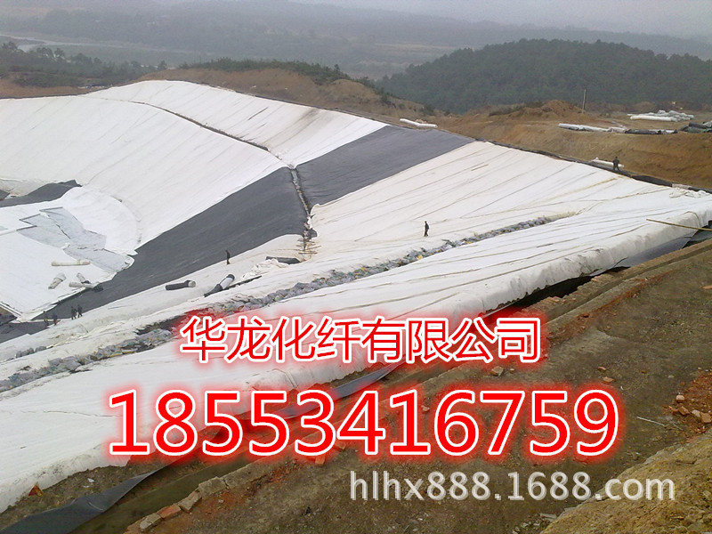 55483247_副本_副本