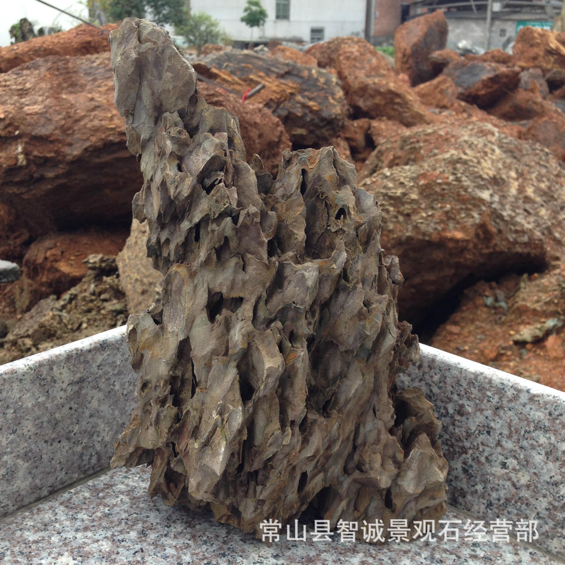 稀缺ada造景专用精品松皮石,火爆预定中