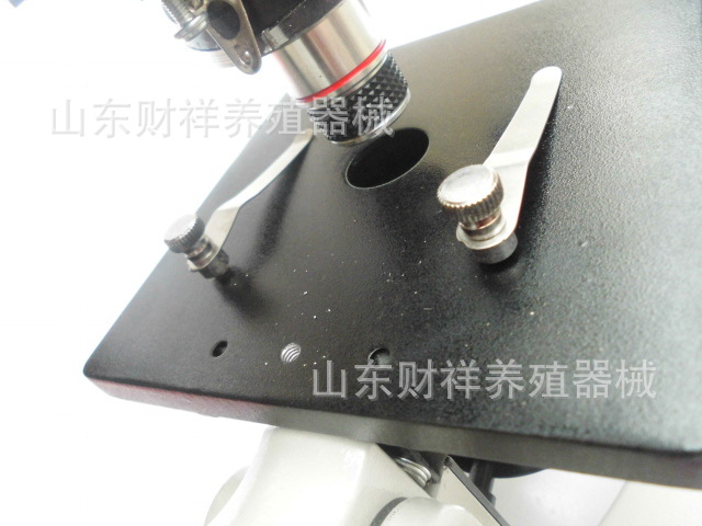 CIMG3354