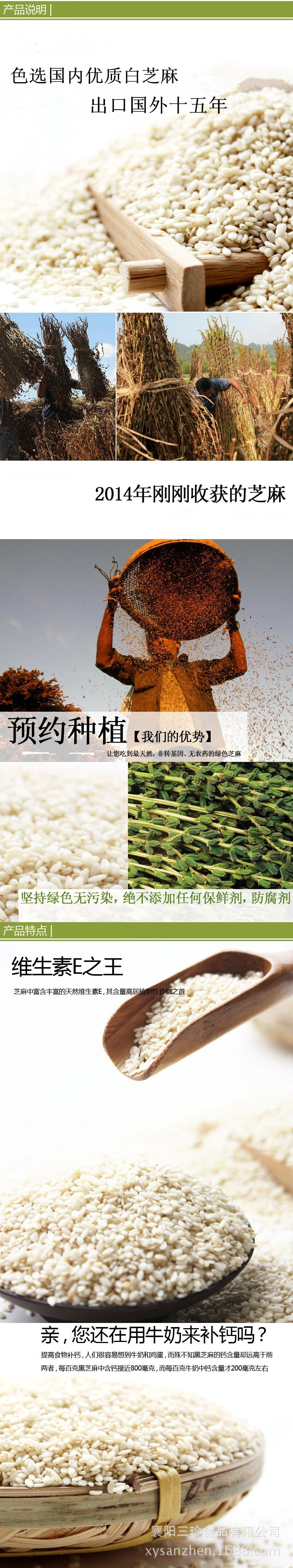 5.webp_副本
