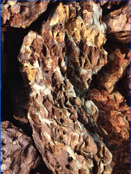 QQ图片20150107104652