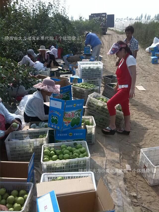 qq图片20150419181609