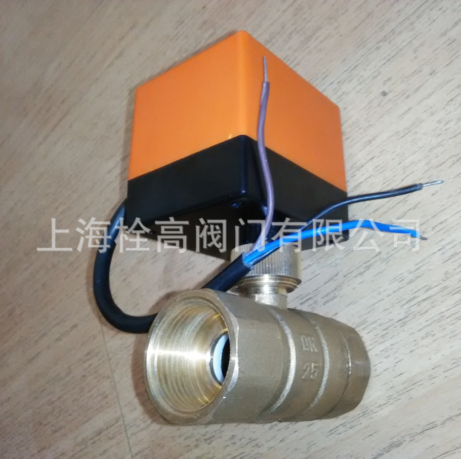 DN32 DN40微型电动二通球阀
