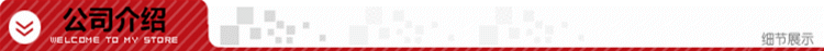 公司介绍111