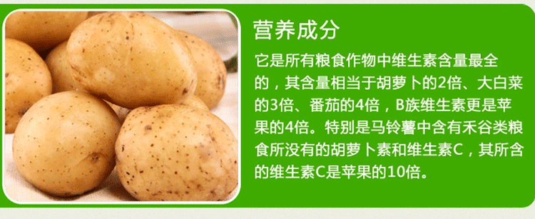 马铃薯_09