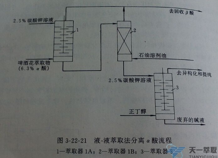 再利用正丁醇作为萃取剂在离心萃取机中进行反萃取,醇用量为酒花