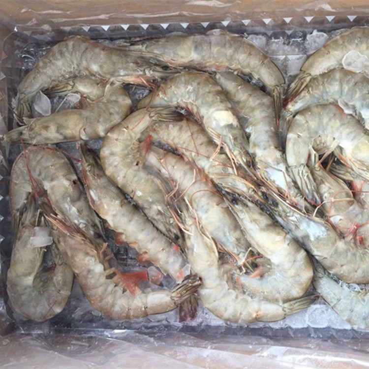 冷冻进口白虾 5kg/盒 优质水产新品 鲜嫩带秃 南美白