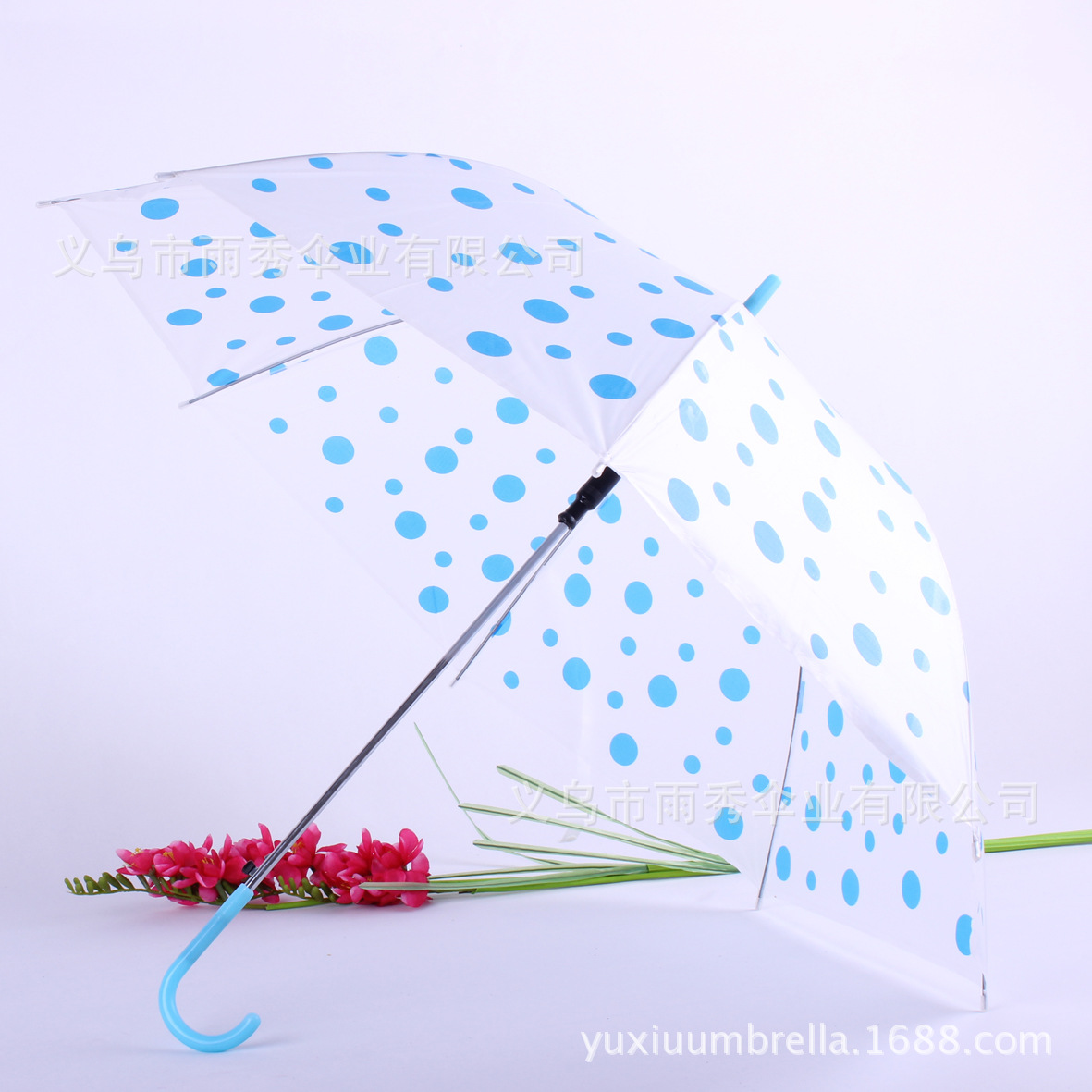 雨秀 圆点泡泡EVA 通明伞 环保伞 雨伞现货批发