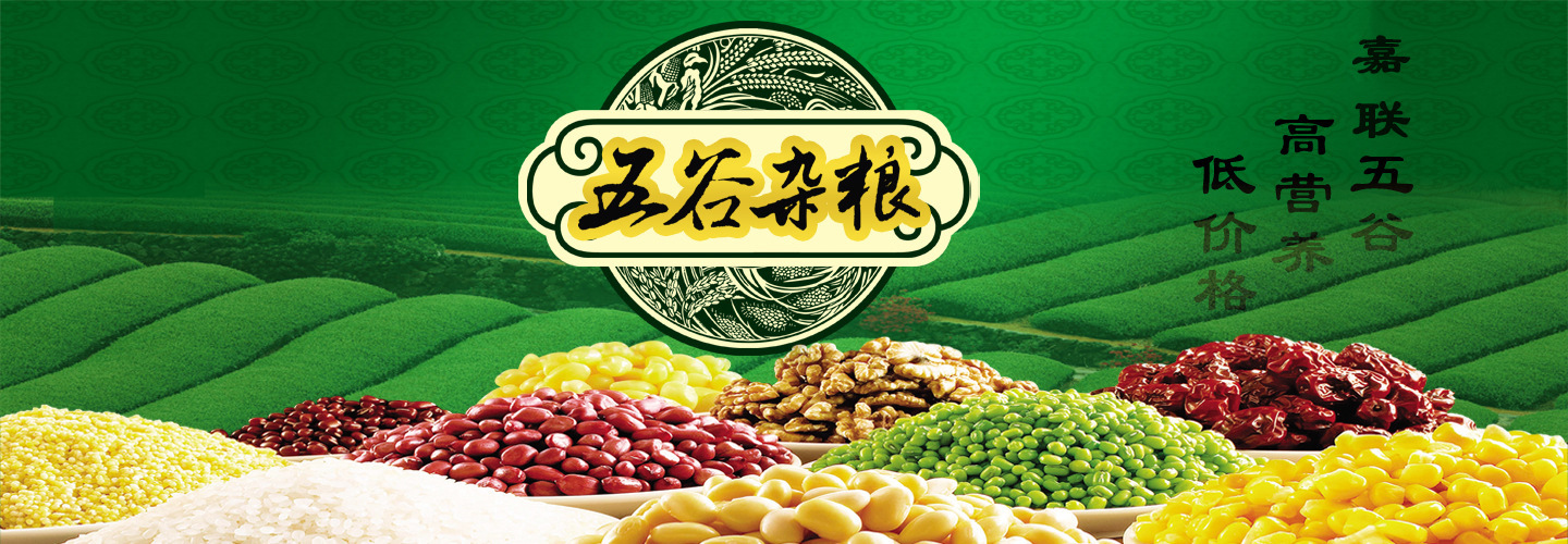 优质 一等玉米碴 纯正玉米碴棒 东北黑土地 优质 五谷杂粮
