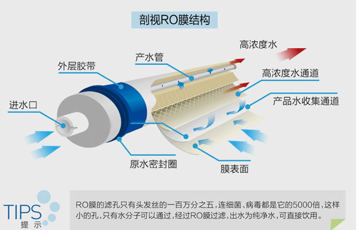 RO膜内视图