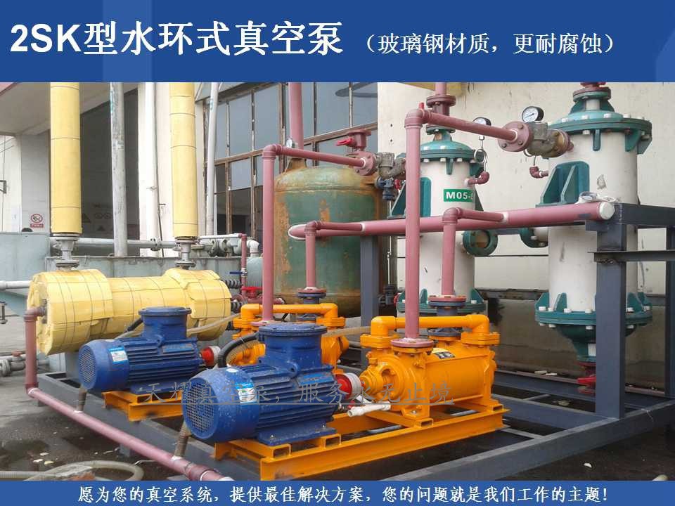 精品热销2sk型水环真空泵/不锈钢轴套/三个月包换