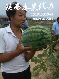QQ图片20150204133711