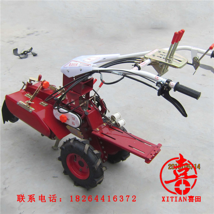 图片20