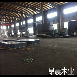 全国招商中国独家生产6米长2米宽建筑模板