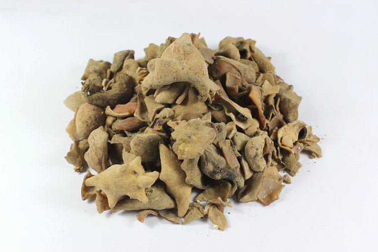 厂家直销 植物原药材五倍子 敛肺降火止汗涩肠止泻固精止血解毒图片