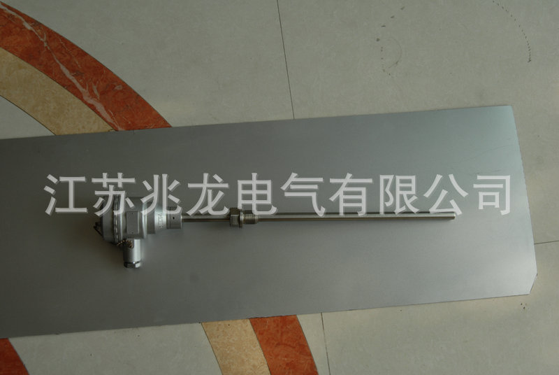 防爆熱電阻WEP-240