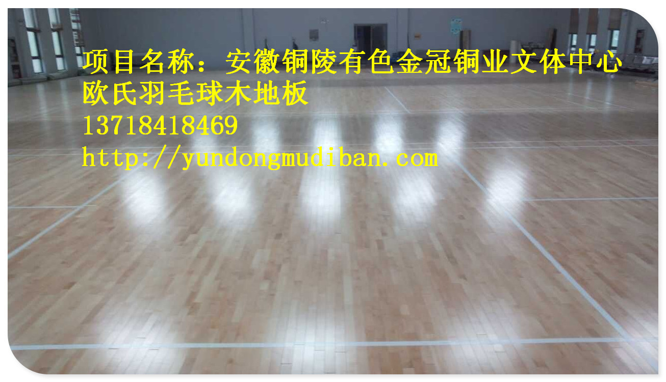 安徽铜陵有色金冠铜业文体中心1_副本