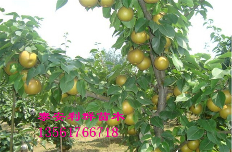 QQ图片20150303114456