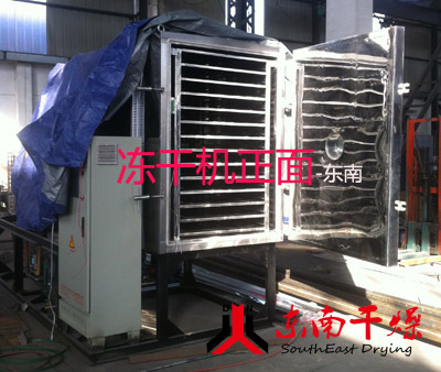 5平方冻干机正面图片
