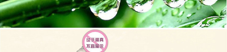 打氣陽具_06
