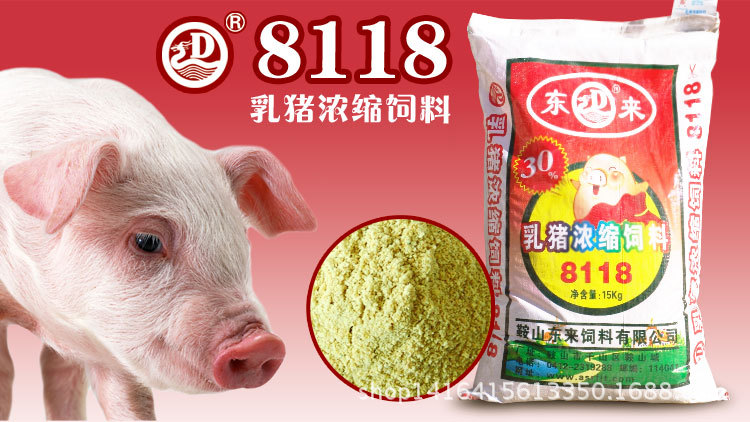 辽宁鞍山东来饲料 猪浓缩饲料批发乳猪浓缩料30 8118厂家直销优质猪