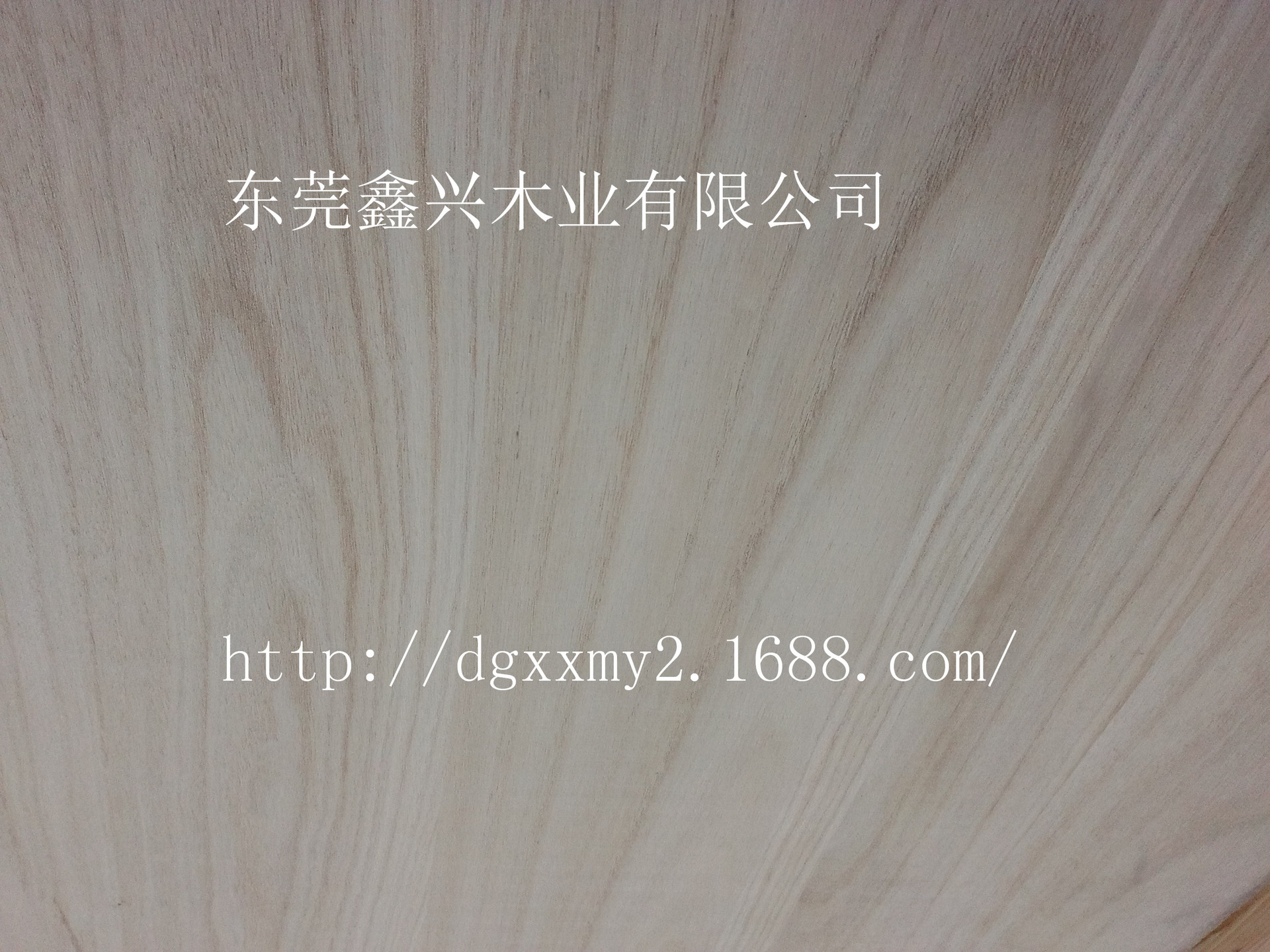 东莞 厂家直销 15mm 桐木直拼板 桐木拼板 实木家具板材