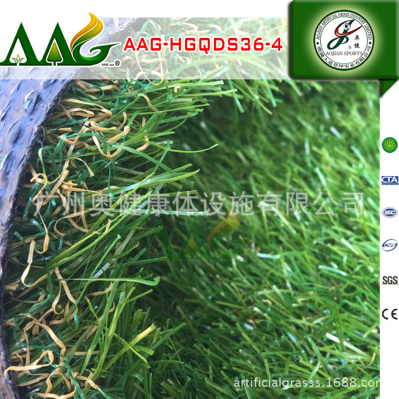 2015-AAG-HGQDS36-4 --16800 (13