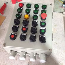 防爆控制箱 優質防爆配電箱 防爆操作箱 廠家專業定做防爆配電箱