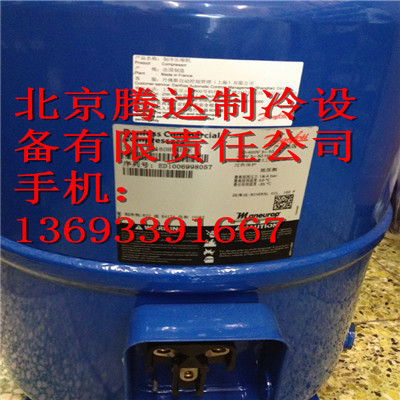 7A5A897EBE9C40A15C3DC37A3A4DC1